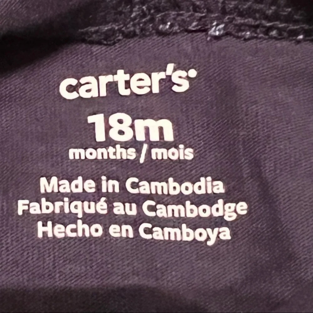Carters NWT hooded long sleeve top 18 months
